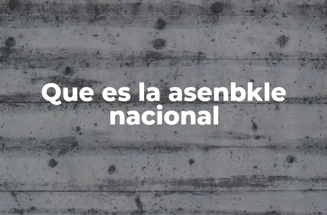 Que es la Asenbkle Nacional
