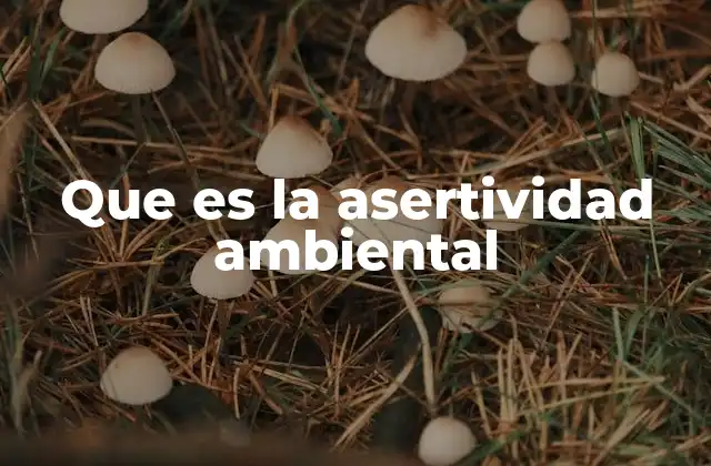 Que es la Asertividad Ambiental