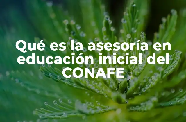 Qué es la Asesoría en Educación Inicial Del Conafe