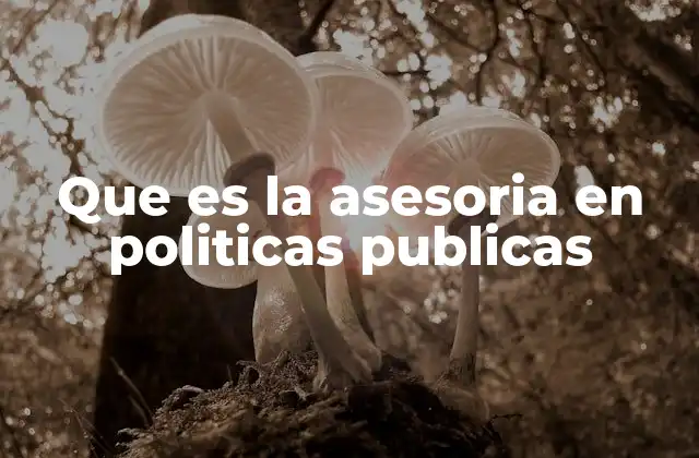 Que es la Asesoria en Politicas Publicas