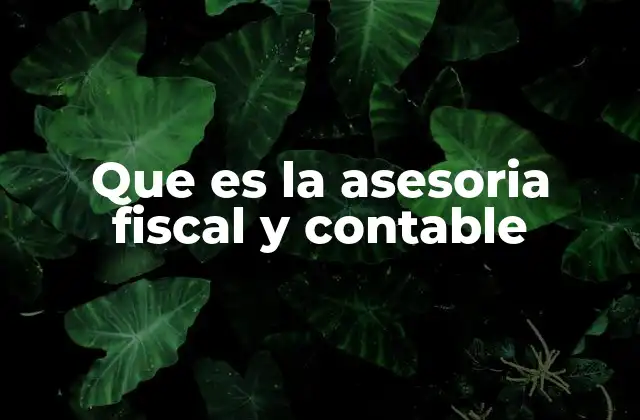 Que es la Asesoria Fiscal y Contable 2 La importancia de contar con un asesor en finanzas personales y empresariales