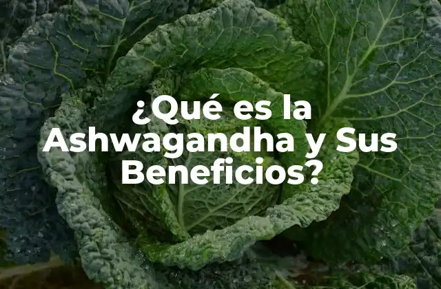 Orígenes y Propiedades de la Ashwagandha