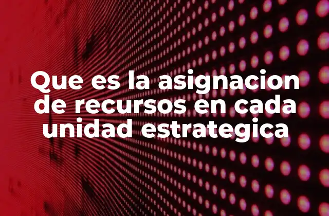 Que es la Asignacion de Recursos en Cada Unidad Estrategica