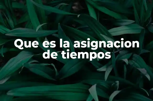 Que es la Asignacion de Tiempos