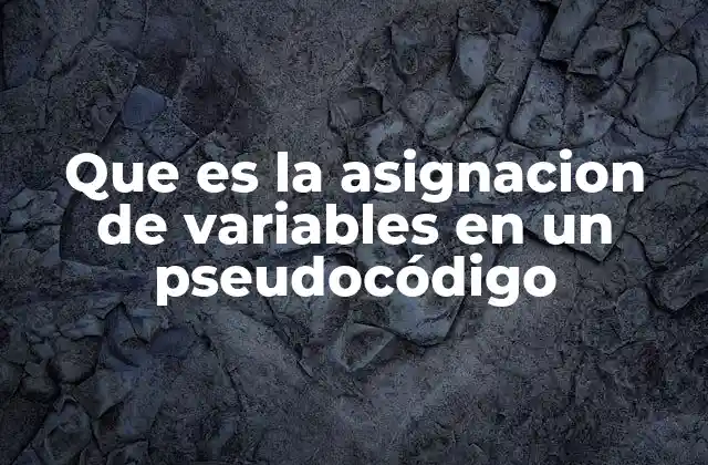 Que es la Asignacion de Variables en un Pseudocódigo