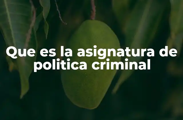 Que es la Asignatura de Politica Criminal