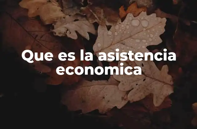 Que es la Asistencia Economica