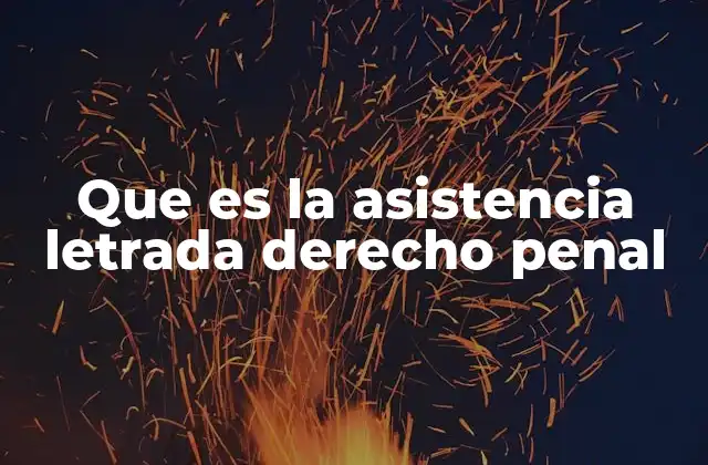 Que es la Asistencia Letrada Derecho Penal