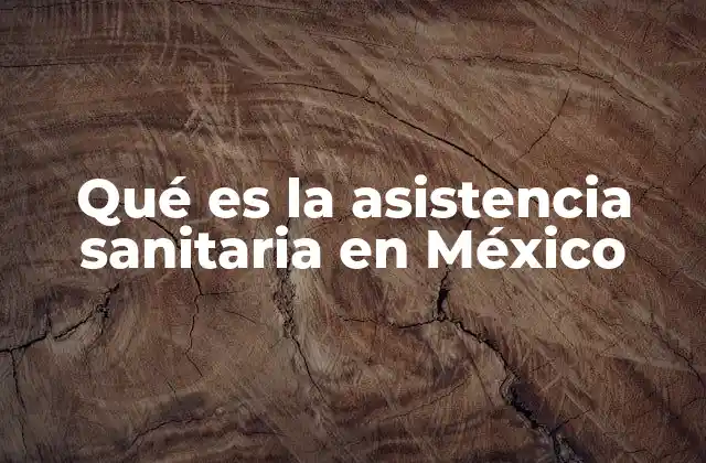 Qué es la Asistencia Sanitaria en México