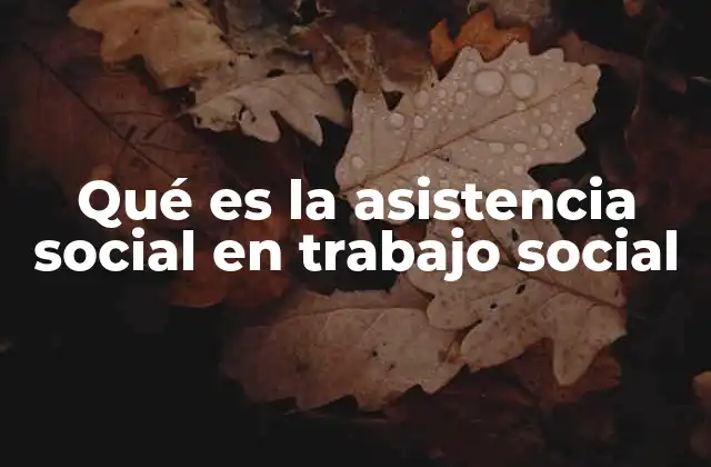 Qué es la Asistencia Social en Trabajo Social