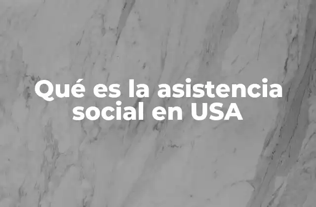 Qué es la Asistencia Social en Usa