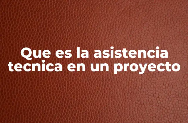 Que es la Asistencia Tecnica en un Proyecto