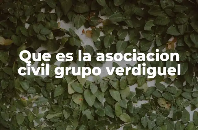 Que es la Asociacion Civil Grupo Verdiguel