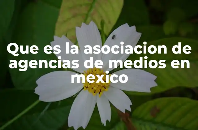 Que es la Asociacion de Agencias de Medios en Mexico