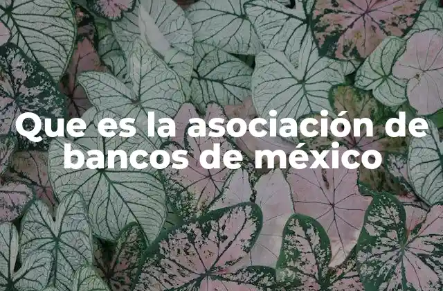 Que es la Asociación de Bancos de México