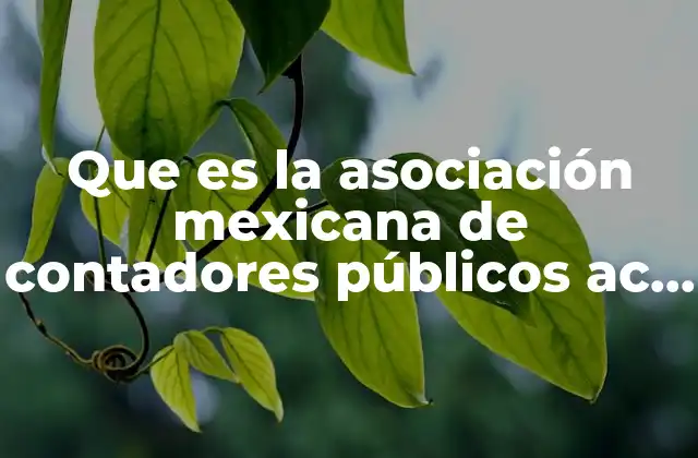 Que es la Asociación Mexicana de Contadores Públicos Ac Amcp