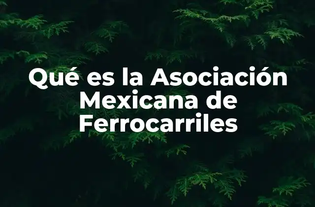 Qué es la Asociación Mexicana de Ferrocarriles 2 El papel de los gremios en la evolución del transporte ferroviario en México