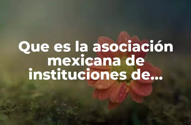 Que es la Asociación Mexicana de Instituciones de Seguros