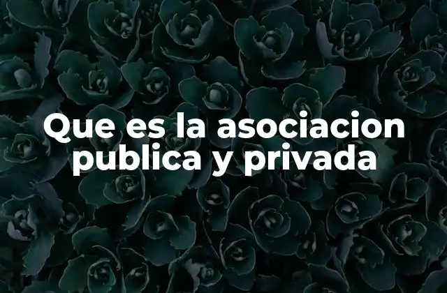 Que es la Asociacion Publica y Privada