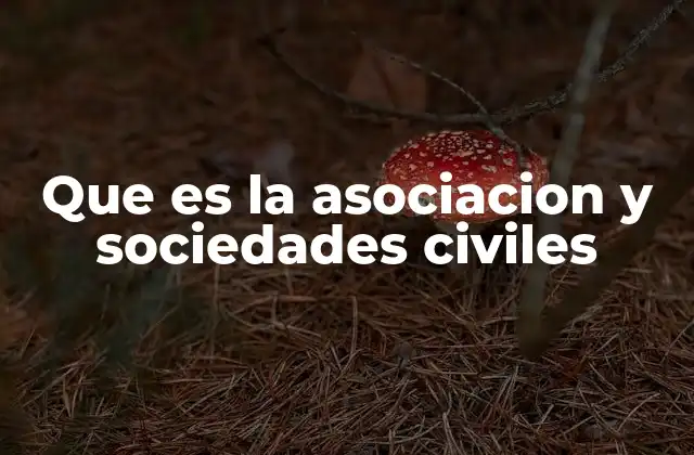Que es la Asociacion y Sociedades Civiles