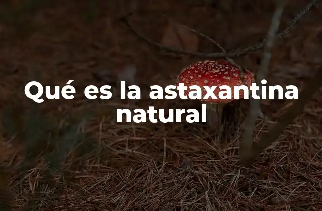 Qué es la Astaxantina Natural 2 Origen biológico de los carotenoides con enfoque en la astaxantina