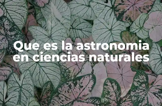 El papel de la astronomía en el entendimiento del universo