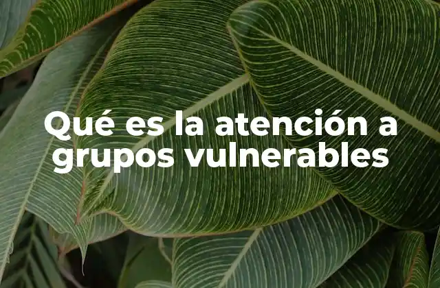 Qué es la Atención a Grupos Vulnerables