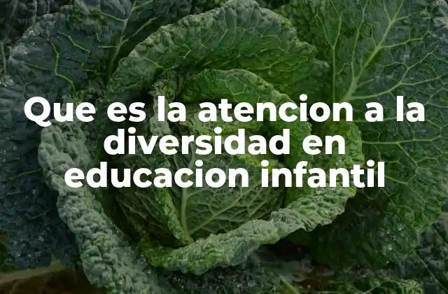 Que es la Atencion a la Diversidad en Educacion Infantil