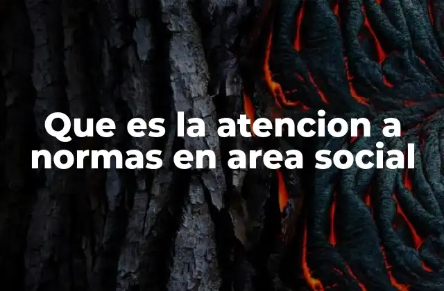 Que es la Atencion a Normas en Area Social