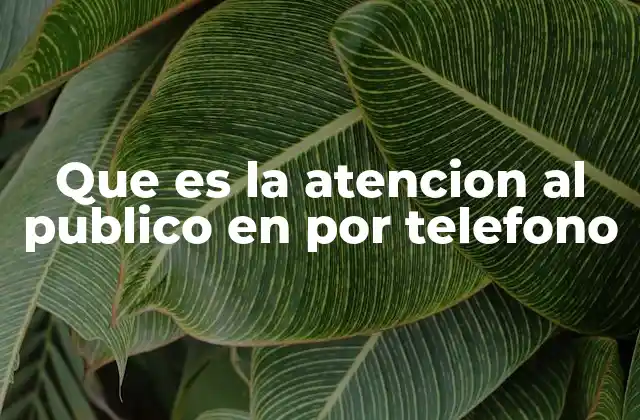 Que es la Atencion Al Publico en por Telefono