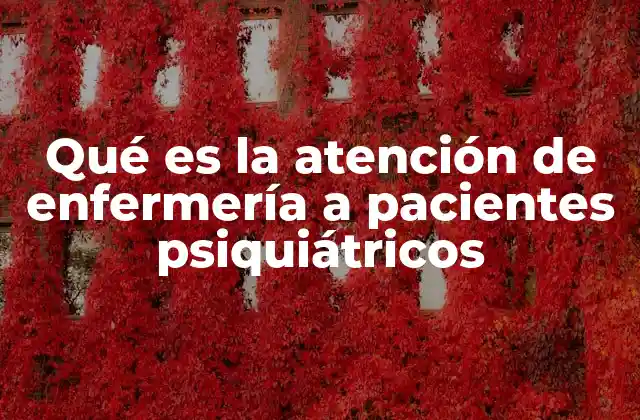 Qué es la Atención de Enfermería a Pacientes Psiquiátricos