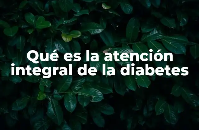 Qué es la Atención Integral de la Diabetes