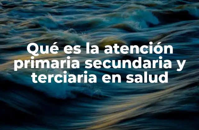 Qué es la Atención Primaria Secundaria y Terciaria en Salud