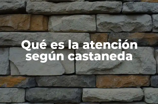 Qué es la Atención según Castaneda