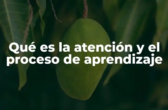 Qué es la Atención y el Proceso de Aprendizaje 2 Cómo la atención influye en la adquisición de conocimientos