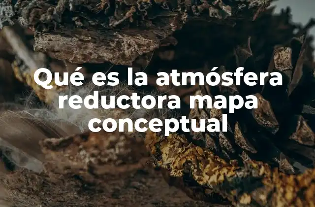 Qué es la Atmósfera Reductora Mapa Conceptual 2 Aplicaciones de las atmósferas reductoras en la industria y la ciencia