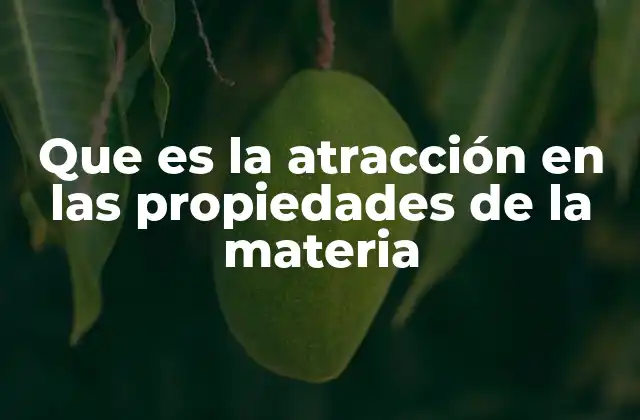 Que es la Atracción en las Propiedades de la Materia