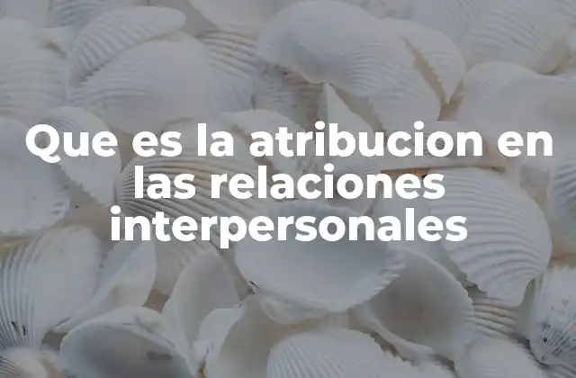 Que es la Atribucion en las Relaciones Interpersonales 2 La importancia de entender el comportamiento ajeno