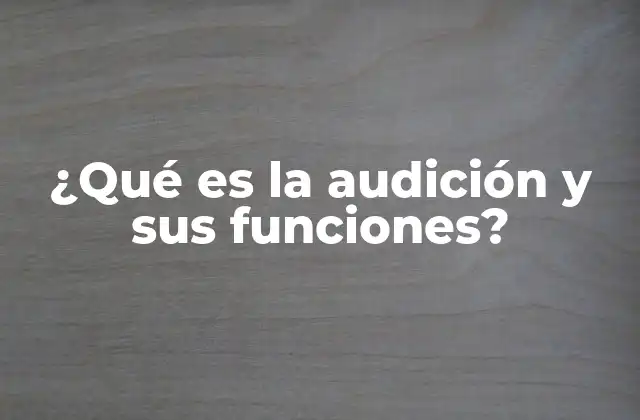 ¿qué es la Audición y Sus Funciones?