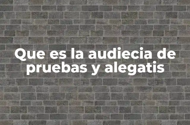 Que es la Audiecia de Pruebas y Alegatis