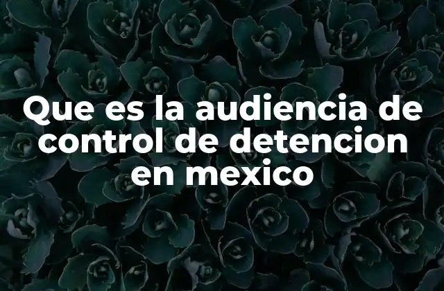 Que es la Audiencia de Control de Detencion en Mexico