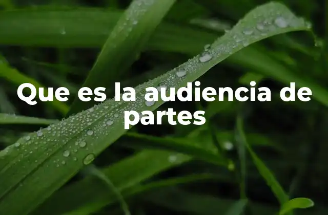 Que es la Audiencia de Partes