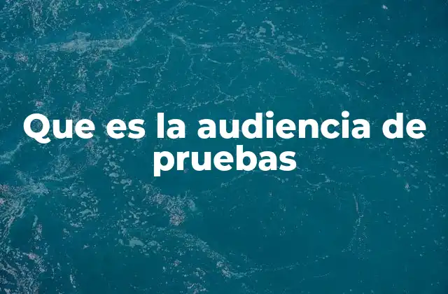 Que es la Audiencia de Pruebas 2 El papel de la audiencia de pruebas en la innovación