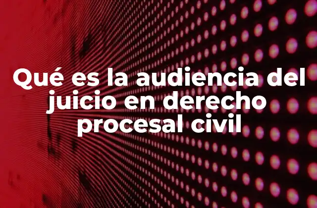 Qué es la Audiencia Del Juicio en Derecho Procesal Civil