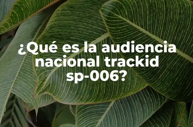 ¿qué es la Audiencia Nacional Trackid Sp-006?