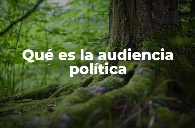 Qué es la Audiencia Política