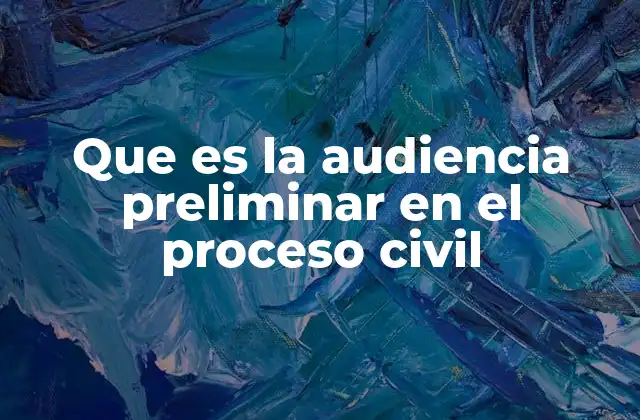Que es la Audiencia Preliminar en el Proceso Civil