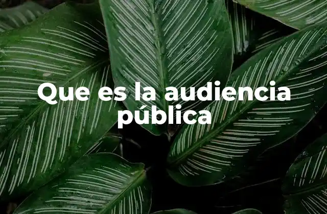 Que es la Audiencia Pública