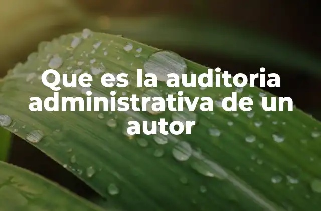 Que es la Auditoria Administrativa de un Autor