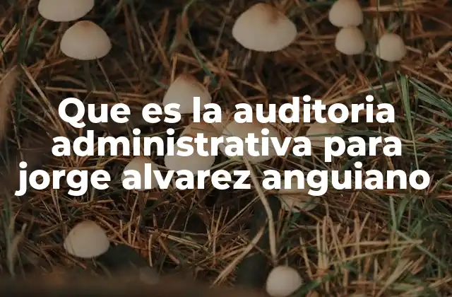 Que es la Auditoria Administrativa para Jorge Alvarez Anguiano